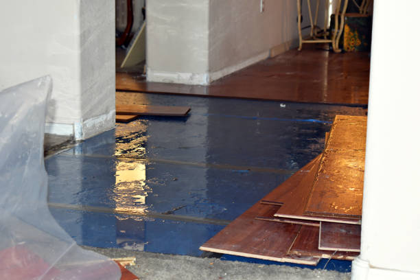 Professional Burst Pipe Cleanup technician working in Andrews, TX